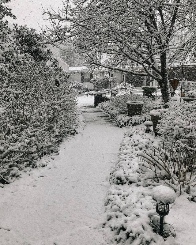 Four Oaks garden path covered in snow
