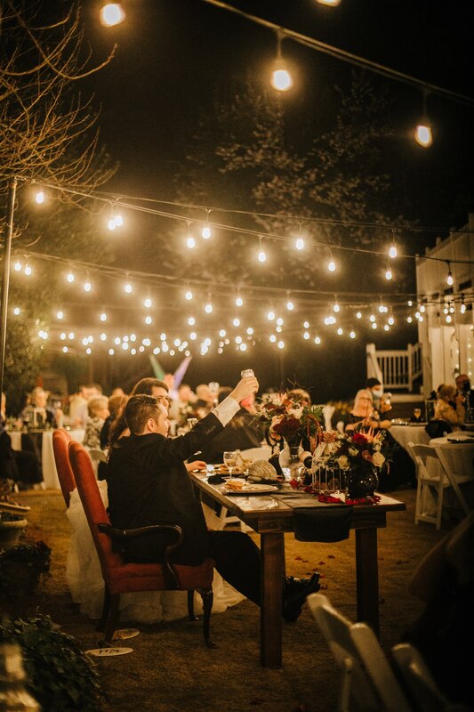 toasts at outdoor spring wedding reception